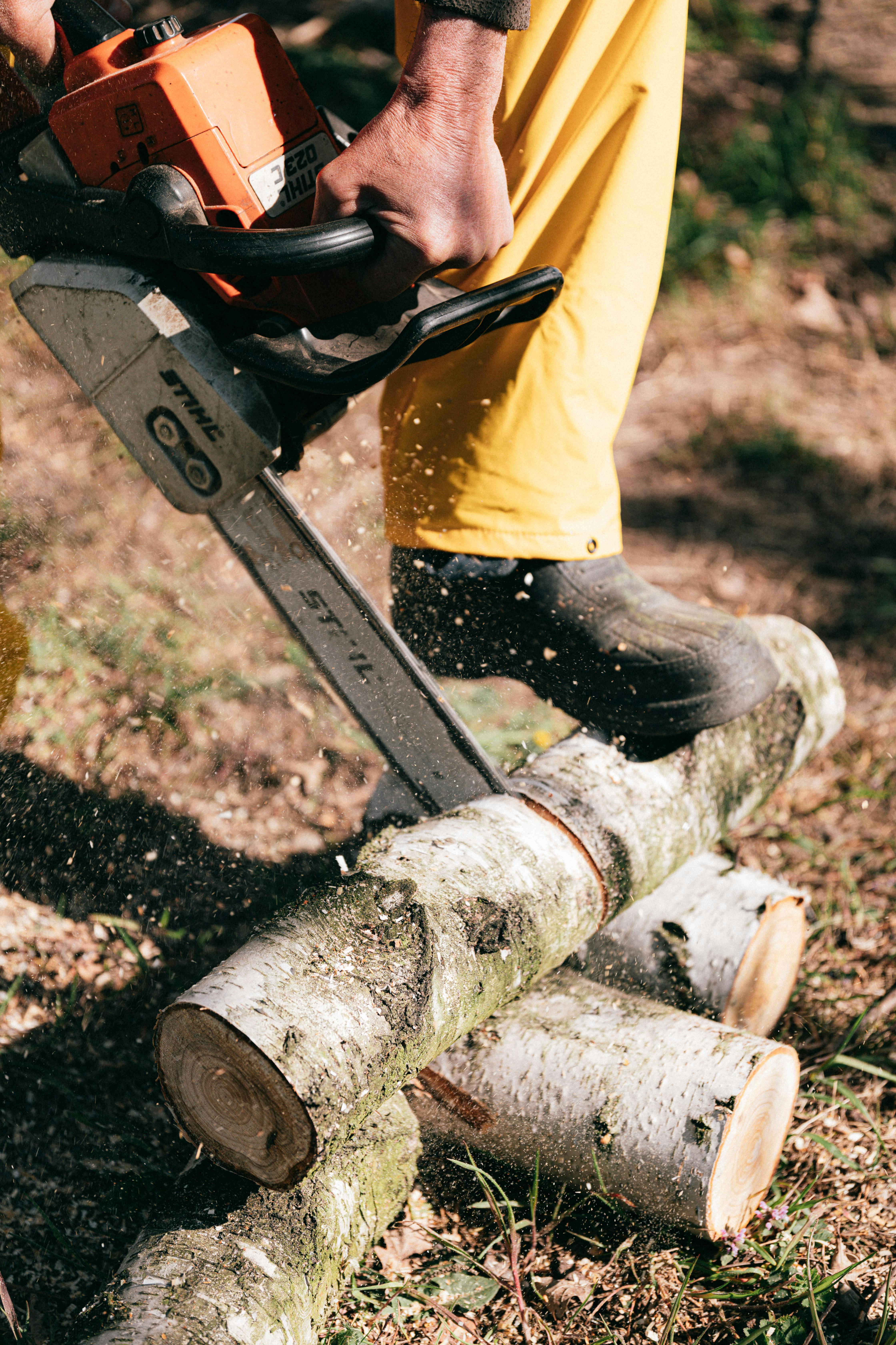 Using the Hornisse Kettensäge for tree cutting